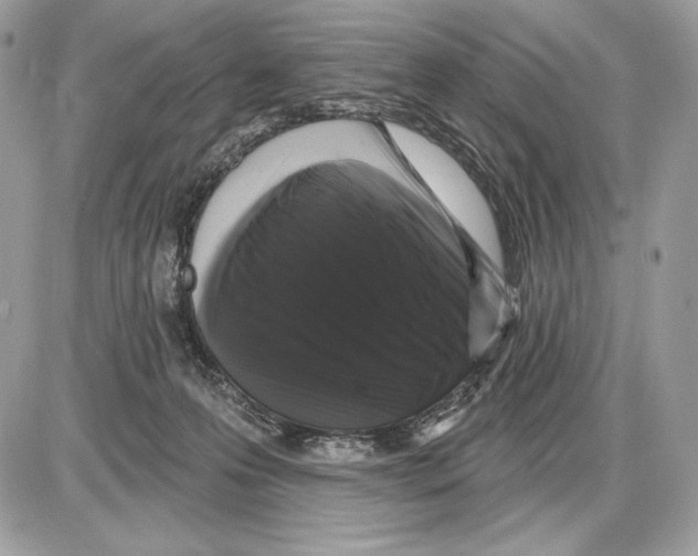 X0000085760223200704131746