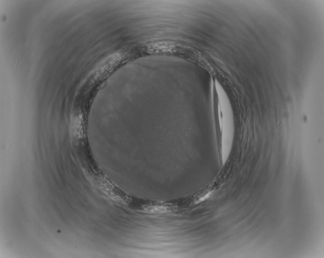 X0000085760224200704131746