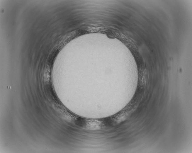 X0000085760226200704131746