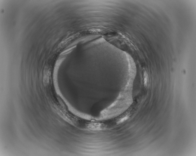 X0000085760227200704131746