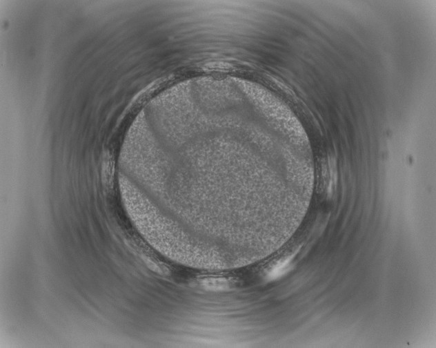 X0000085760228200704131746