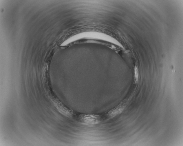X0000085760229200704131746
