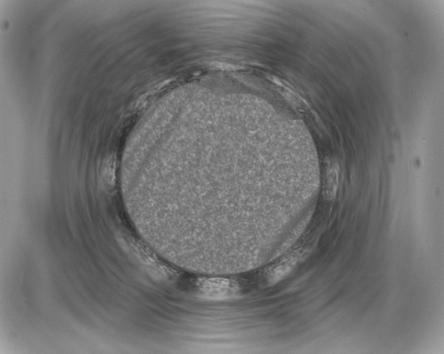 X0000085760230200704131746