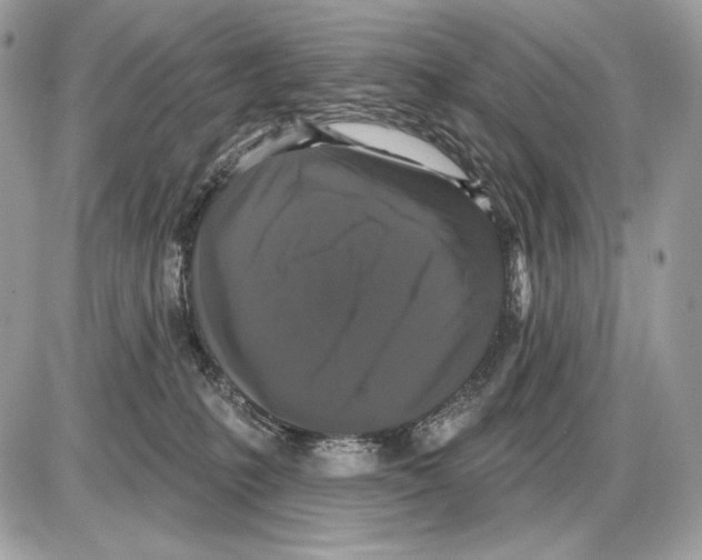 X0000085760231200704131746