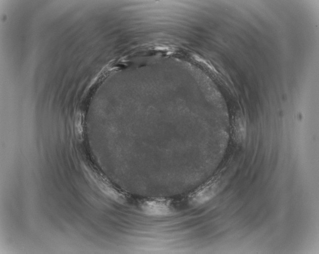 X0000085760232200704131746