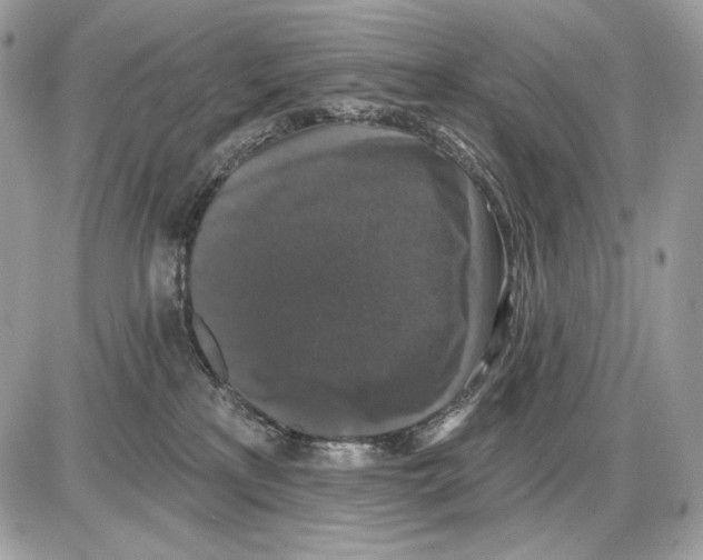 X0000085760233200704131746