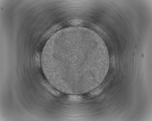 X0000085760234200704131746