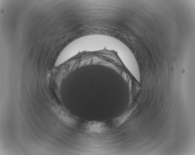 X0000085760235200704131746
