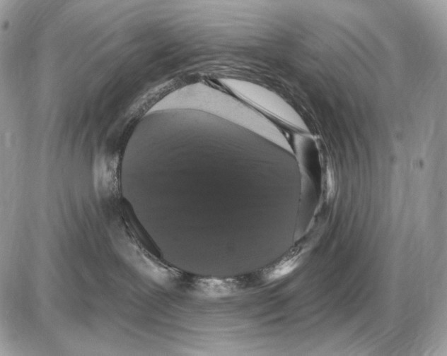 X0000085760239200704131746