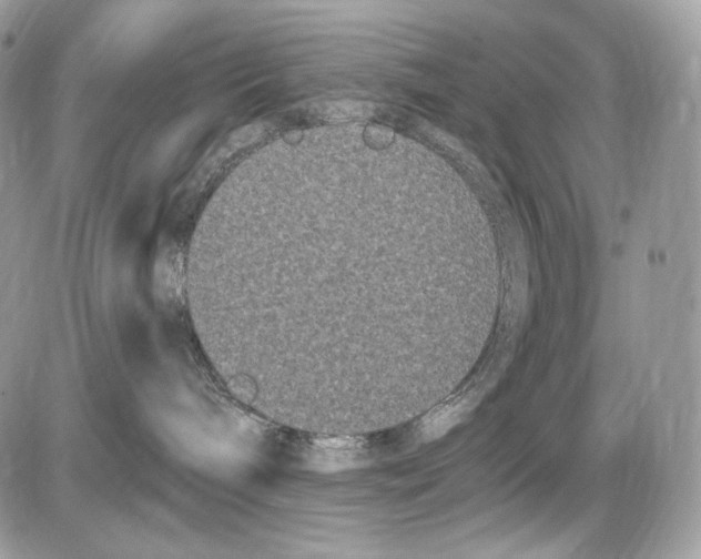 X0000085760240200704131746