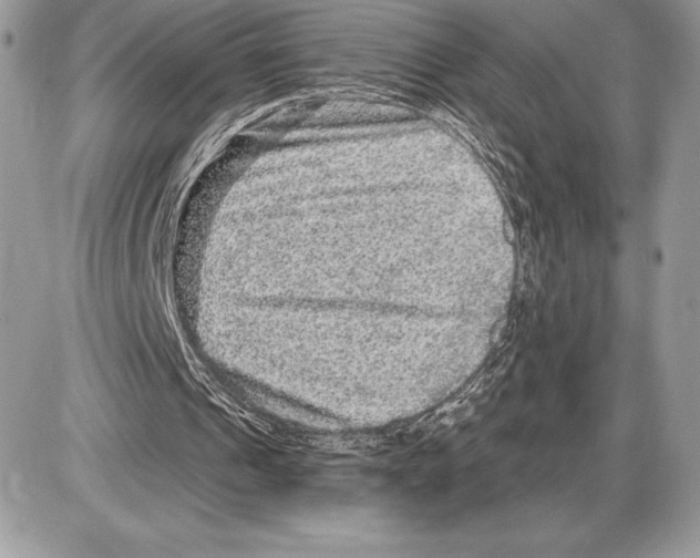 X0000085760241200704131745