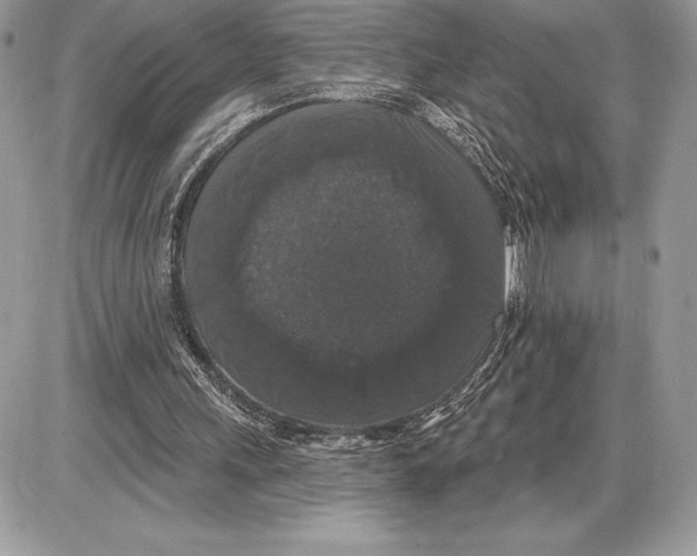 X0000085760243200704131745