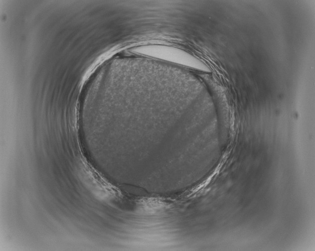 X0000085760244200704131745