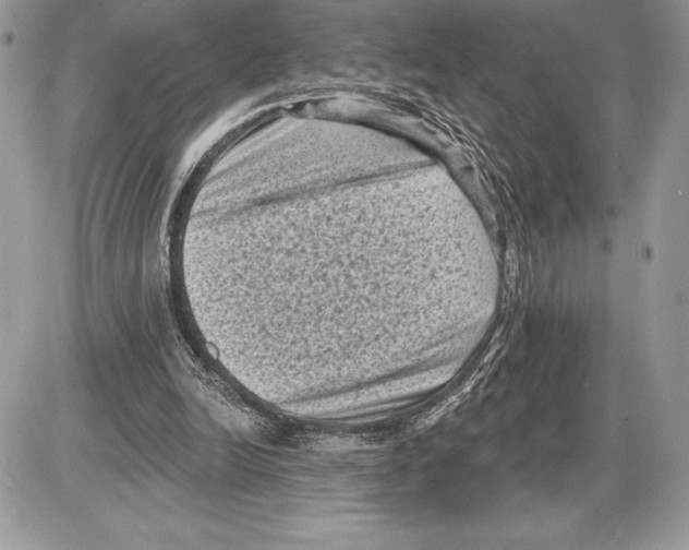 X0000085760246200704131745