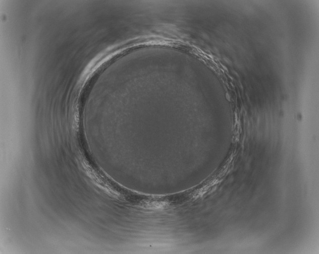 X0000085760247200704131745