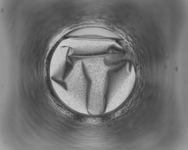 X0000085760248200704131745