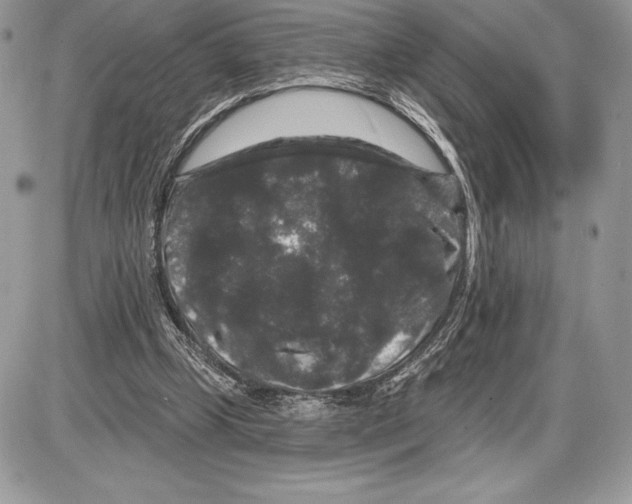 X0000085760249200704131745