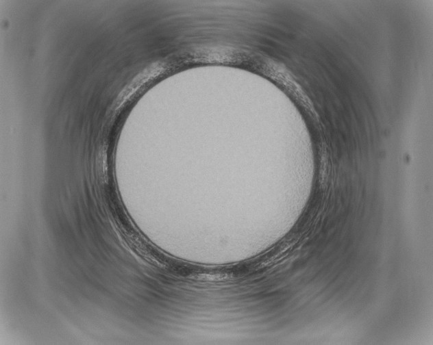 X0000085760251200704131745