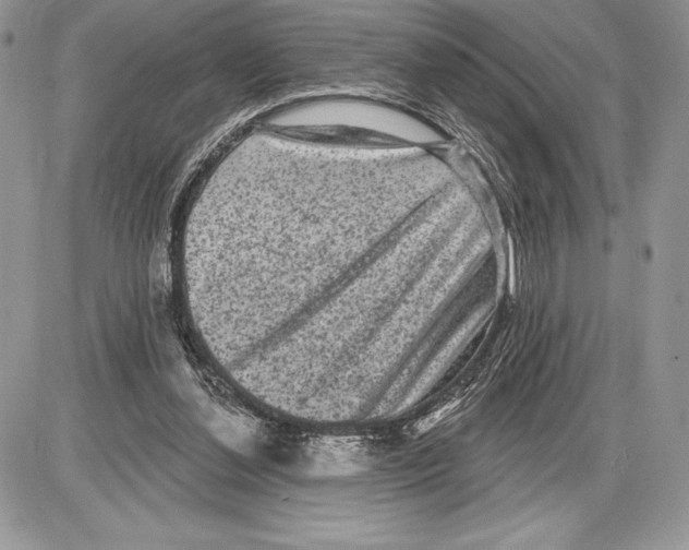 X0000085760252200704131745