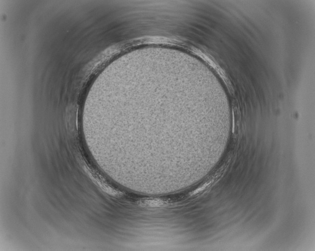 X0000085760253200704131745