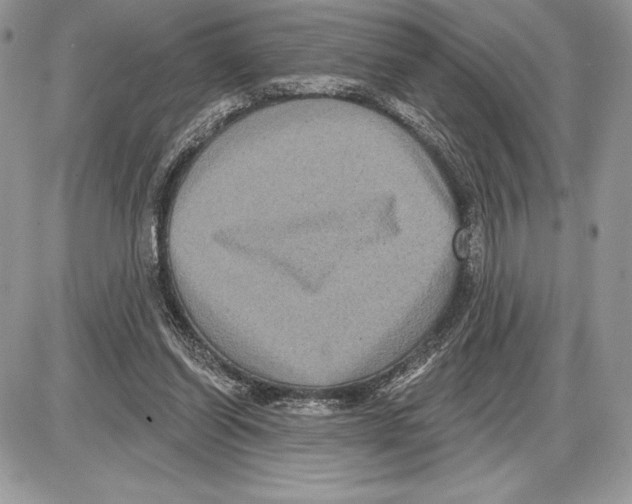 X0000085760254200704131745