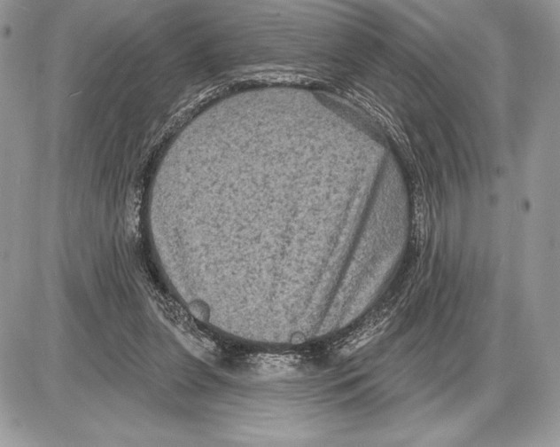 X0000085760255200704131745