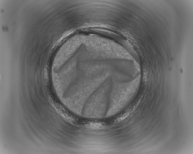 X0000085760256200704131745