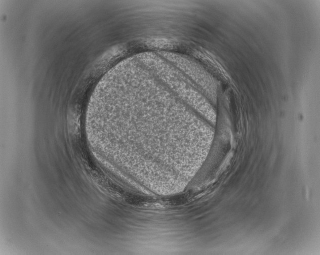 X0000085760259200704131745