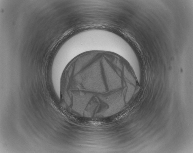 X0000085760260200704131745