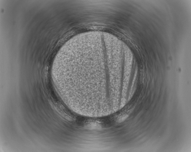X0000085760263200704131745