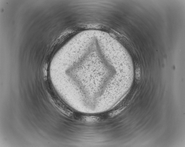 X0000085760264200704131745