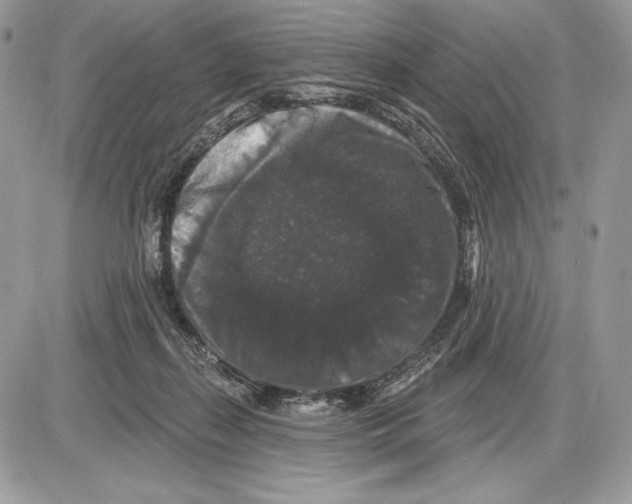 X0000085760267200704131745