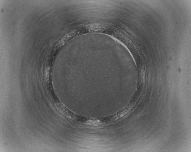 X0000085760271200704131745