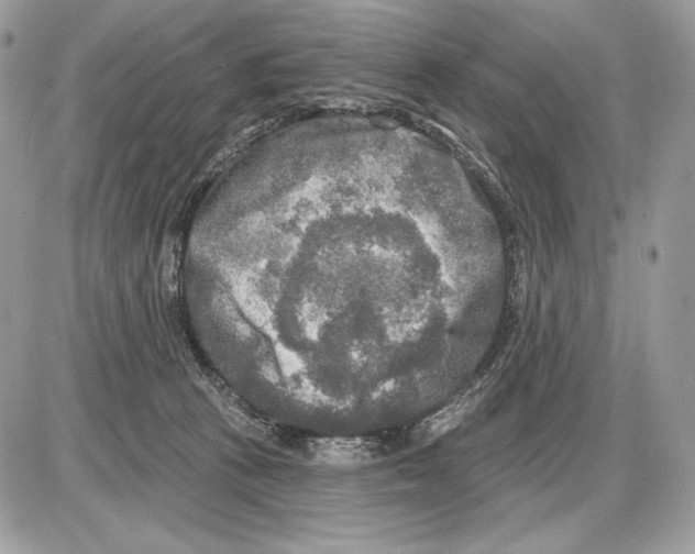 X0000085760273200704131745