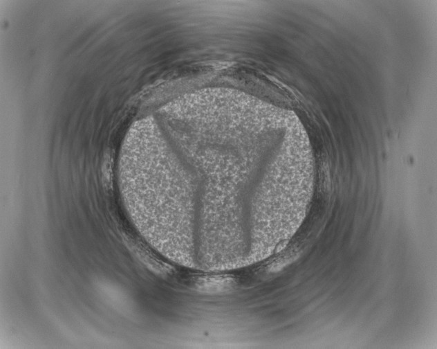 X0000085760274200704131745