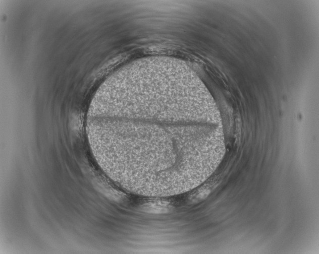 X0000085760278200704131745
