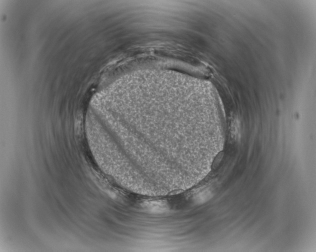 X0000085760283200704131746
