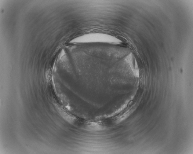 X0000085760285200704131746