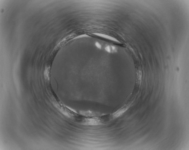 X0000085760286200704131746