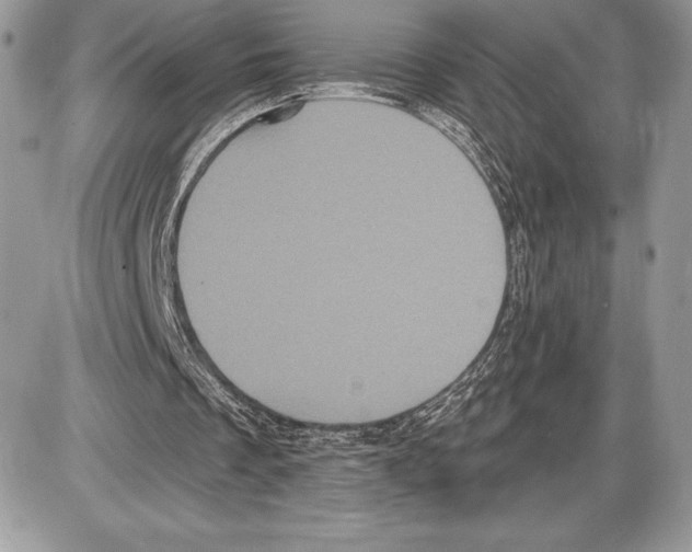 X0000085760289200704131745