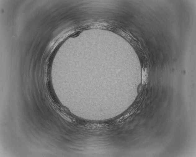X0000085760291200704131745