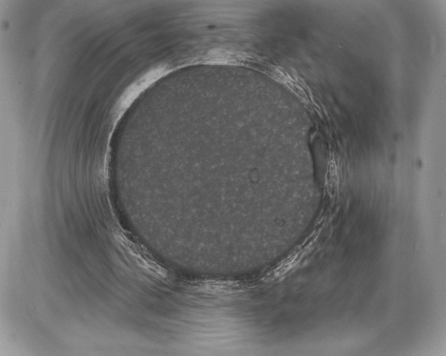 X0000085760292200704131745