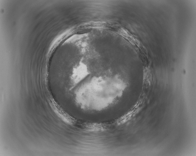 X0000085760293200704131745
