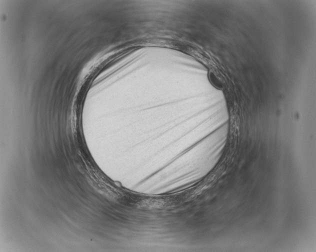 X0000085760294200704131745