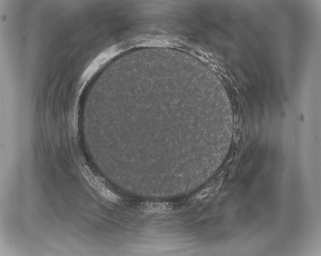 X0000085760296200704131745