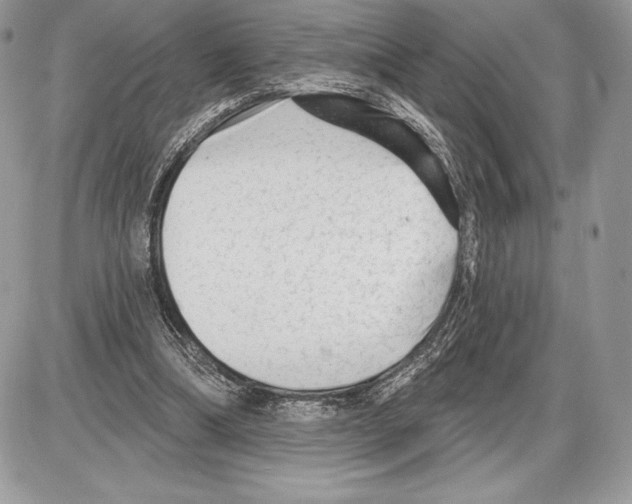 X0000085760298200704131745