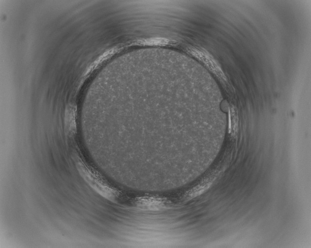 X0000085760300200704131745