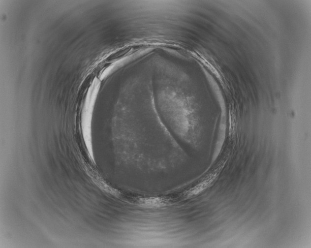 X0000085760301200704131745
