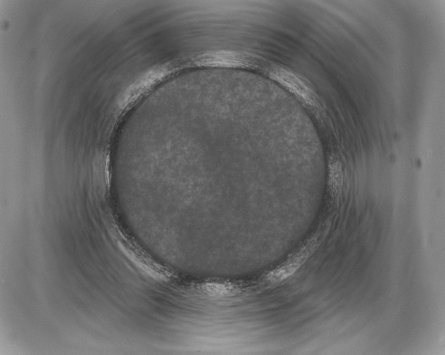 X0000085760302200704131745