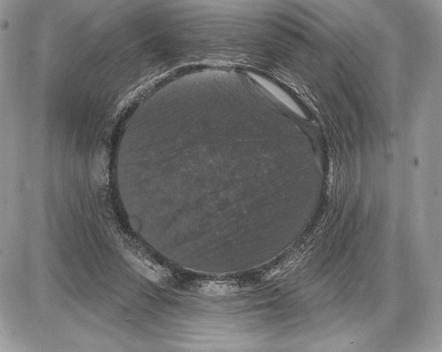 X0000085760303200704131745